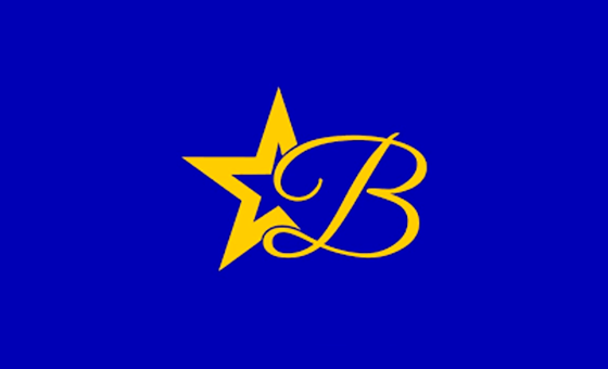 Logo BABY STAR